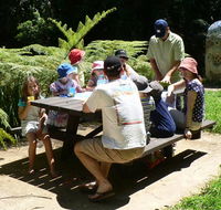 The Pines picnic area - Surfers Gold Coast