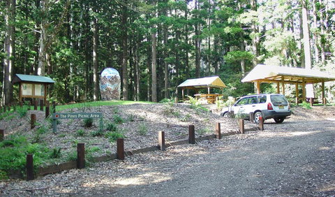 The Pines Picnic Area - Surfers Gold Coast 2