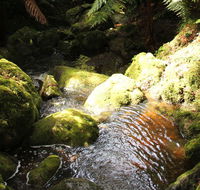 South East Forests National Park