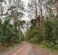 End Peak walking track - Surfers Gold Coast
