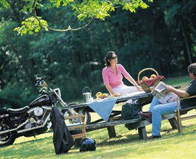 Victoria Park Nature Reserve - Surfers Gold Coast 2