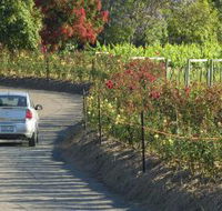 Cassegrain Wines - Surfers Gold Coast