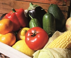 Summerland House Farm - House With No Steps - Surfers Gold Coast 1