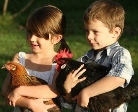 Summerland House Farm - House With No Steps - Surfers Gold Coast 2