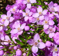 Broadwater National Park - Surfers Gold Coast