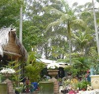 Diamond Waters Garden Nursery - Surfers Gold Coast