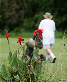 Teven Valley Golf Course - Surfers Gold Coast 3