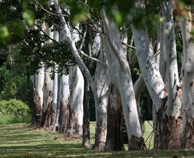 Teven Valley Golf Course - Surfers Gold Coast 1