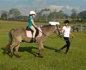 Port Macquarie Horse Riding Centre - Surfers Gold Coast 0