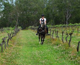 Port Macquarie Horse Riding Centre - Surfers Gold Coast 1