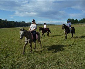 Port Macquarie Horse Riding Centre - Surfers Gold Coast 5