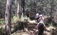 Port Macquarie Horse Riding Centre - thumb 4