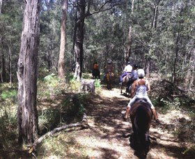 Port Macquarie Horse Riding Centre - Surfers Gold Coast 4