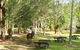 Port Macquarie Horse Riding Centre - thumb 6