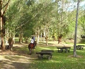 Port Macquarie Horse Riding Centre - Surfers Gold Coast 6