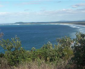 Delicate Beach - Surfers Gold Coast 0