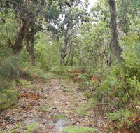 Kinchela Trig Lookout walk - Surfers Gold Coast