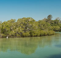 Tyagarah Nature Reserve - Surfers Gold Coast