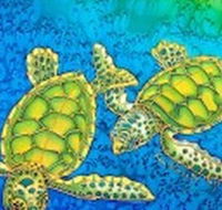 Sea Silks Gallery - Surfers Gold Coast
