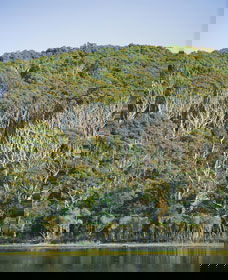 Ben Boyd National Park - Surfers Gold Coast 5