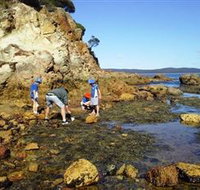 Sapphire Coast Marine Discovery Centre - Surfers Gold Coast