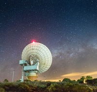 OTC Dish - Surfers Gold Coast