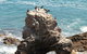 Ben Boyd National Park - thumb 2