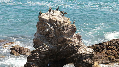 Ben Boyd National Park - Surfers Gold Coast 2