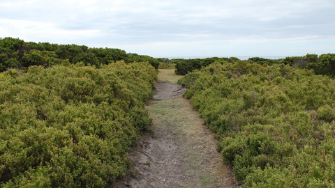 Ben Boyd National Park - Surfers Gold Coast 3