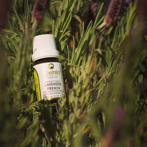 Jasmin Organics Skincare Farm And Factory - Surfers Gold Coast 7