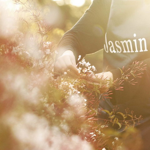 Jasmin Organics Skincare Farm And Factory - Surfers Gold Coast 8