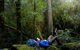 The Tarkine Drive - thumb 0