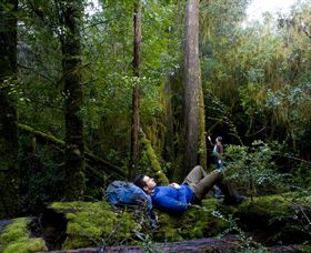 The Tarkine Drive - Surfers Gold Coast 0