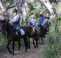 Mirravale Horse Riding School - Surfers Gold Coast