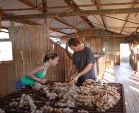 Peron Homestead - Surfers Gold Coast 0