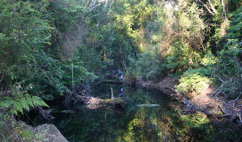 Nadgee Nature Reserve - Surfers Gold Coast 2