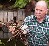 Lobster Ponds - Surfers Gold Coast