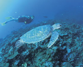 Ningaloo Reef - Surfers Gold Coast 1