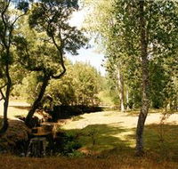 Oldina Picnic Area - Surfers Gold Coast