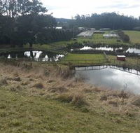 Guide Falls Farm - Surfers Gold Coast