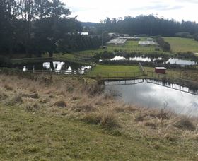 Guide Falls Farm - Surfers Gold Coast 0