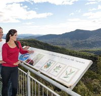 Whyte Hills Lookout - Surfers Gold Coast