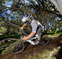 All Terrain Cycles - Surfers Gold Coast
