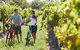 Granite Belt Bicycle Tours And Hire - thumb 7