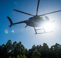 Tall Timbers Adventure Tours - Surfers Gold Coast