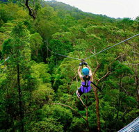Canyon Flyer - Surfers Gold Coast