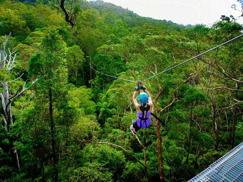 Canyon Flyer - Surfers Gold Coast 4
