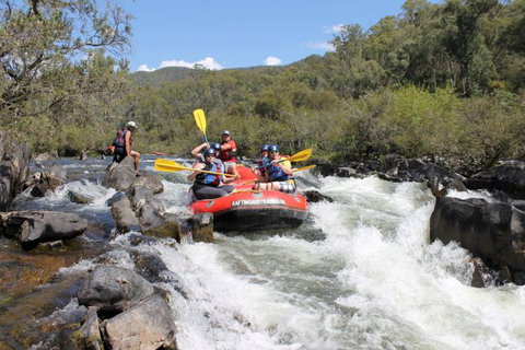 Rafting Australia - Surfers Gold Coast 0