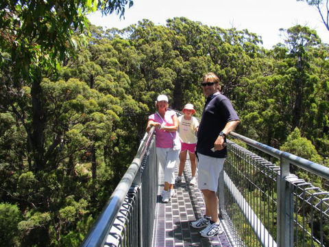 Out Of Sight Tours - Surfers Gold Coast 17