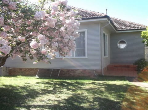 Magnolia Corner - Surfers Gold Coast 1